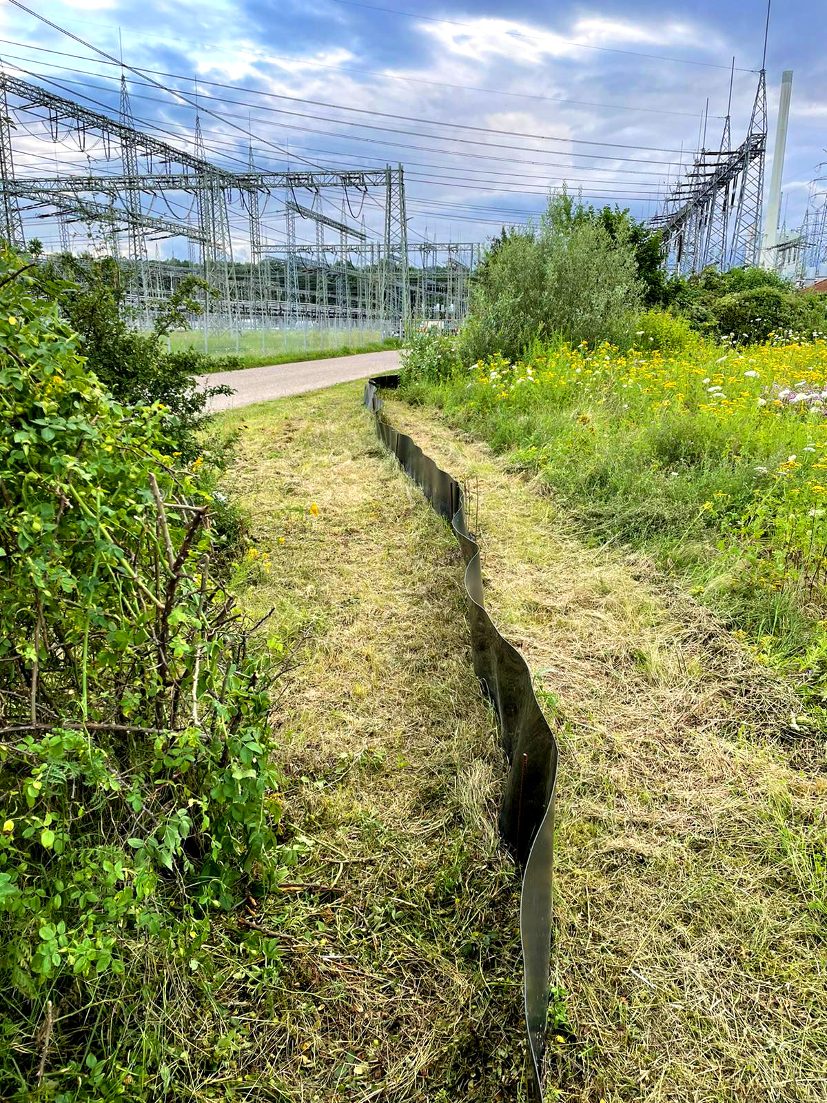 Rhizomsperre am Umspannwerk – Schutzmassnahme gegen Eindringen von Amphibien und Reptilien